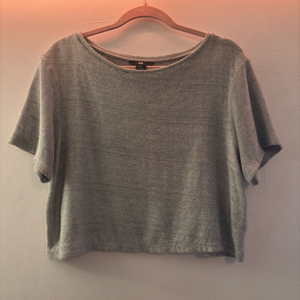 Shimmery Woven Crop Top